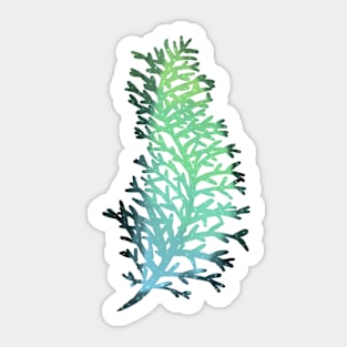 Disco Pine Leaf Sticker